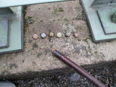 Schneckenhäuser findet man fast überall auf der Industriebrache. <br>Foto: LWL/Ehses