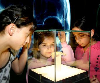 Spannende Einblicke in der Dauerausstellung! <br>Foto: LWL/Kalus