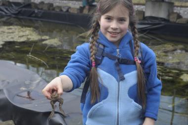 Kröte gefangen ¿ am 26. März können es junge Naturforscher diesem Mädchen nachtun. <br>Foto: LWL 