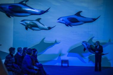 Im Einstimmungssaal der Wale-Ausstellung liest die Schauspielerin Beate Reker aus den Tagebüchern des Insektenforschers Jean Henri Fabre. <br>Foto: LWL/Oblonczyk