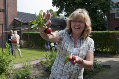 Radieschen sind jetzt schon reif für die Ernte. <br>Foto: LWL