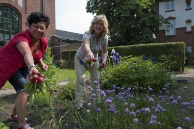 "Im Arbeitergarten der Zeche Zollern wird am Samstag wieder geerntet."<br>Foto: LWL