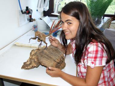 Die geologische Präparatorin Svenja Hold hat in mühevoller Arbeit den kleinen Dinosaurier Dexi für die neue Dinosaurierausstellung in Münster angefertigt. <br>Foto: LWL/Fialla