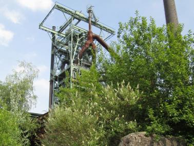Sommerflieder vor dem Hochofen der Henrichshütte. <br>Foto: LWL/Ehses