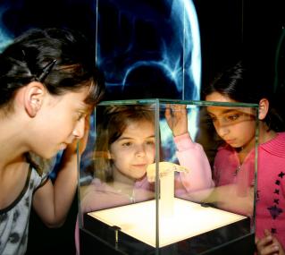 In der Dauerausstellung warten spannende Einblicke in die Geschichte der Region Westfalens. <br>Foto: LWL/Kalus