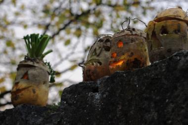 Aus Runkelrüben entstehen im LWL-Freilichtmuseum Detmold Laternen. <br>Foto: LWL/Sánchez 