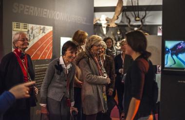 Verlängert wurde aufgrund der hohen Besucherzahlen die Sonderausstellung ¿Sex und Evolution¿ im LWL-Museum für Naturkunde.<br>Foto: LWL/Oblonczyk 