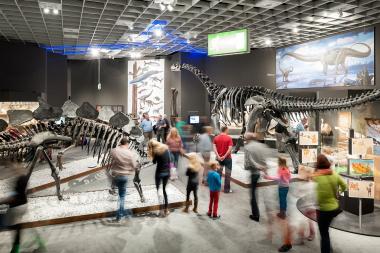 Die Dinos sind zurück im LWL-Museum für Naturkunde, in den ersten zwei Wochen sahen 20.000 Besucher die Tiere der Urzeit.<br>Foto: LWL/Steinweg 