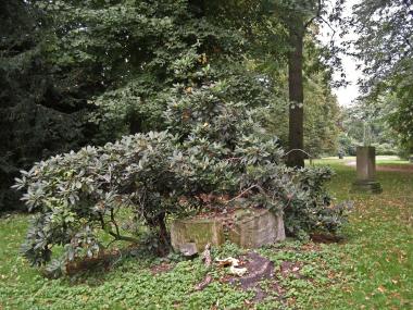Einige Grabsteine erinnern noch daran, dass der kleine Stadtteilpark früher ein Friedhof war.<br>Foto: LWL 