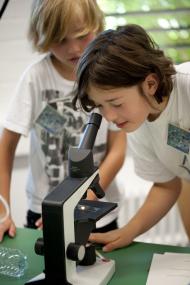 Werkstattnachmittag im LWL-Museum für Naturkunde zum Thema Mikroskopie. <br>Foto: LWL/Oblonczyk. 