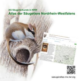 Der ¿Atlas der Säugetiere Nordrhein-Westfalens¿ ist jetzt online gegangen.<br>Foto: LWL 