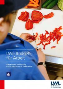 Das Cover der Broschüre zum LWL-Budget für Arbeit in leichter Sprache. <br>Foto: LWL 