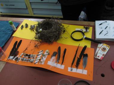 Fundstücke, die zeigen, dass viele Tiere auf der Hüttenbrache zu Hause sind.<br>Foto: LWL/Ehses 