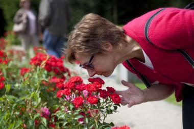Bis zu 40.000 Besucher nutzten den Tag der Gärten und Parks in den vergangenen Jahren, um in grüne Welten einzutauchen.<br>Foto: LWL 