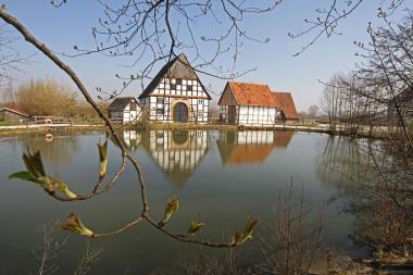 Vorboten des Frühlings sind bei einem ¿Winterspaziergang¿ im LWL-Freilichtmuseum Detmold zu entdecken. &lt;br&gt;Foto: LWL/Jähne 