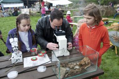 Erwachsene und Kinder können mit Becherlupen und Mikroskopen die Natur erforschen.<br>Foto: LWL/Hudemann