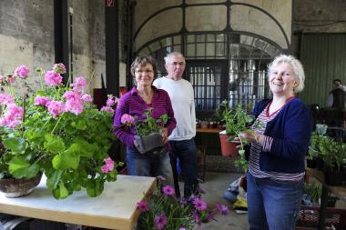 Alles, was grünt und blüht, ist beim Gartenkungelmarkt im LWL-Industriemuseum Zeche Zollern gefragt. <br>Foto: LWL/Hudemann