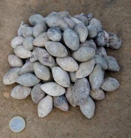 Ein kleines "Osternest" bilden die Schleuderbleie, die in dieser Anzahl noch nicht auf einem Haufen in einem westfälischen Römerlager gefunden wurden. <br>Foto: LWL/Burgemeister