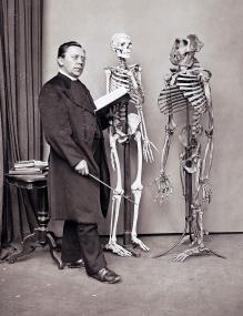 Prof. Hermann Landois mit Menschen- und Gorillaskelett.<br>Foto: LWL