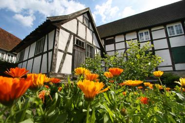 Den Apothekergarten des LWL-Freilichtmuseums Detmold können Interessierte bei einer Führung am Samstag erkunden. <br>Foto: LWL/Jähne