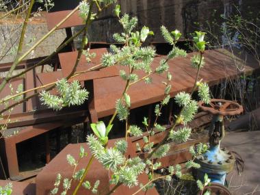 Frisches Grün vor rostiger Kulisse. <br>Foto: LWL