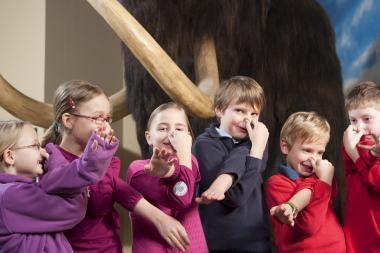 Kühl wird es den Ferienkids bei der Eiszeit mit Mammut im LWL-Museum für Naturkunde.<br>Foto: LWL/Oblonczyk