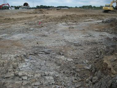Die weißen Fähnchen markieren die Stellen, an denen Keramik, Knochen und Holzkohle im hart getrockneten Lehmboden erkennbar waren. <br>Foto: LWL/Hallenkamp-Lumpe 