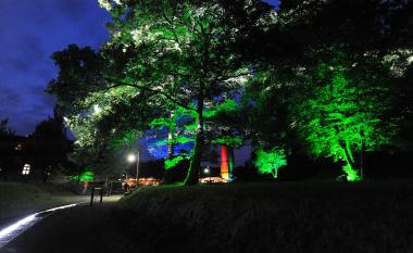 Die Natur der Zeche Nachtigall, die bei der Extraschicht besonders effektvoll beleuchtet war, steht im Mittelpunkt der nächsten Nachtsafari am 3. Juli.<br>Foto: LWL