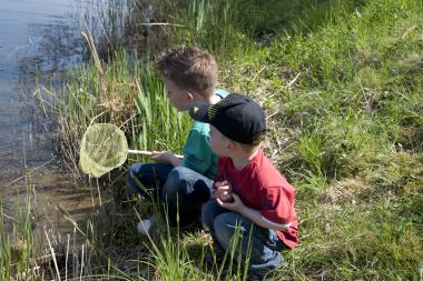 Mit dem Kescher am Kanal.<br>Foto: LWL/Hudemann