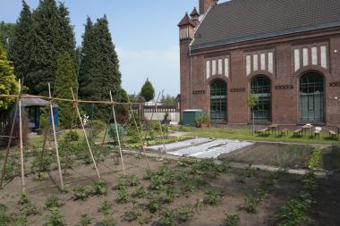 Im Arbeitergarten des LWL-Industriemuseums Zeche Zollern können die Besucher nicht nur sehen, wie sich Bergarbeiterfamilien früher versorgt haben, sondern auch viel über Gemüseanbau lernen.<br>Foto: LWL/Hudemann