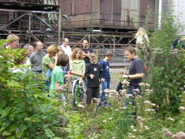 Entdeckungstour auf dem ¿Grünen Weg¿ über die Henrichshütte.<br>Foto: LWL 