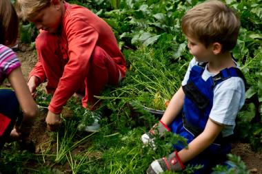 Im LWL-Freilichtmuseum Detmold geht es für Kinder ¿Ran ans Gemüse¿.<br>Foto: LWL/DBCO