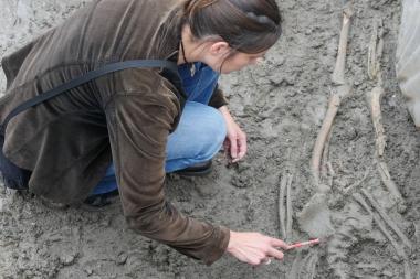 Die Skelette, die jetzt unter dem Pflaster des Domplatzes entdeckt wurden, werden genau untersucht. <br>Foto: LWL/Burgemeister