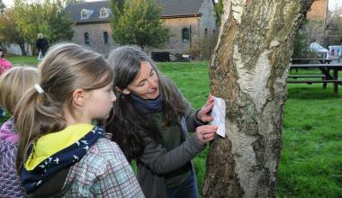 Mit Papier und Stift pausen die Safari-Teilnehmer die Rinde von Baumstämmen ab.<br>Foto: LWL/Appelhans