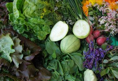 Gesund und richtig lecker ¿ Frisches Obst und Gemüse aus der Region.<br>Foto: Bio-Hof Brinkmann