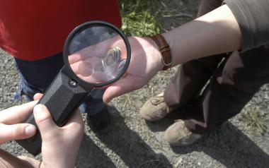 Beim Frühlingssparziergang am Samstag erkunden die Teilnehmer die Pflanzen- und Tierwelt rund um die Zeche Zollern.<br>Foto: LWL