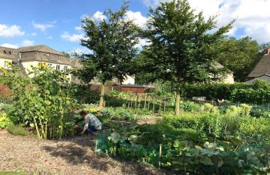 Im  Interkulturellen Siedlungsgarten Fürst Leopold in Dorsten wird gemeinsam die Tradition der Arbeitergärten lebendig gehalten.<br>Foto: LWL