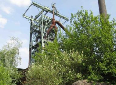 Sommerflieder vor dem Hochofen der Henrichshütte.<br>Foto: LWL