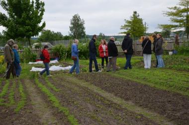 Lange vor dem ersten Gartengemüse lassen sich Wildkräuter in den Gärten ernten.<br>Foto: LWL