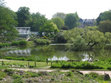 Einblicke in vielseitige Pflanzenwelten bietet der Botanische Garten Münster.<br>Foto: LWL/Woltering