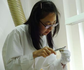 Die Restauratorin Lina Pak ist Tochter einer koreanischen Krankenschwester, die 1974 nach Deutschland kam. <br>Foto: LWL/Burgemeister 
