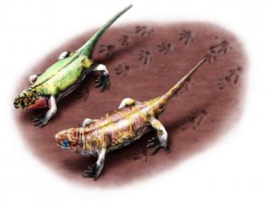 So könnte der Bochumer Ursaurier vor 316 Millionen Jahren ausgesehen haben.<br>Foto: Urweltmuseum GEOSKOP, Burg Lichtenberg (Pfalz) 