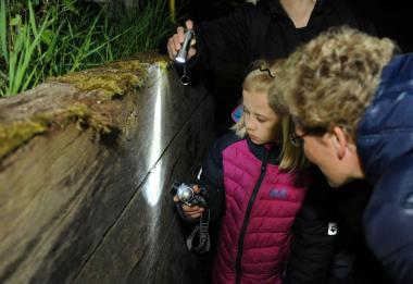 Mit der Taschenlampe entdecken die Safariteilnehmer Tiere und Pflanzen auf dem Gelände der Zeche Nachtigall.<br>Foto: LWL/Appelhans