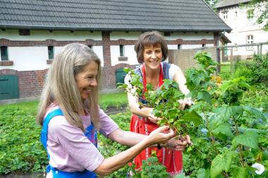Viele Beerensorten warten im Arbeitergarten darauf, geerntet zu werden, darunter fruchtige Johannis- und Himbeeren.<br>Foto: LWL/Hudemann