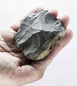 Auf den ersten Blick unscheinbar, aber mit wichtigem archäologischen Inhalt: Dieser Levallois-Kern ist ein Produkt des Neandertalers.<br>Foto: LWL/H. Menne