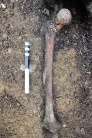 Ein skurriler Knochenfortsatz war einer von mehreren Besonderheiten bei dieser Ausgrabung.<br>Foto: LWL/Baales