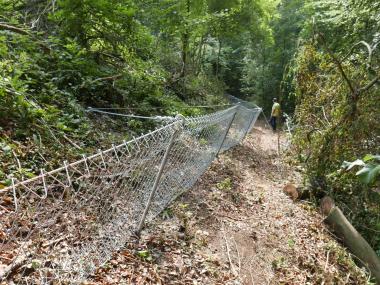 Der neue Steinfangzaun unterhalb der Denkmalbaustelle soll auf Dauer für Sicherheit am Steilhang sorgen.<br>Foto: WLV   