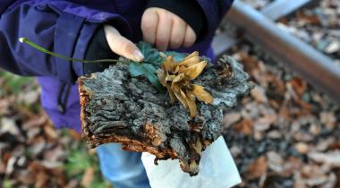 Auch die Samen der verschiedenen Bäume lernen die Teilnehmer des naturkundlichen Spaziergangs kennen.<br>Foto: LWL/Appelhans