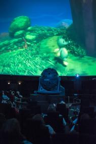 Tabaluga mit der Musik von Peter Maffay ist im Planetarium des LWL-Museums für Naturkunde zu sehen.<br>Foto: LWL/Oblonczyk.