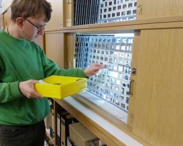 Nils Lorenz bei der Arbeit am Diaarchiv in der Bielefelder Außenstelle der LWL-Archäologie für Westfalen.<br>Foto: LWL/E.Johannhörster